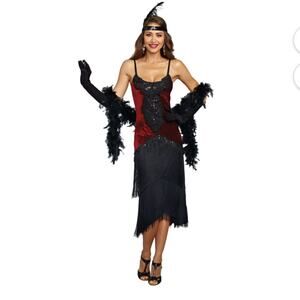 Women's Luxe Million Dollar Baby Flapper Costume Dress cosplay Halloween